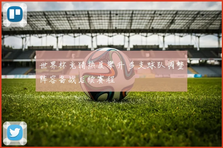 世界杯竞猜热度攀升 多支球队调整阵容备战后续赛程