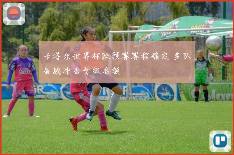 气排球与排球规则差异解析 让比赛节奏与战术选择更清晰