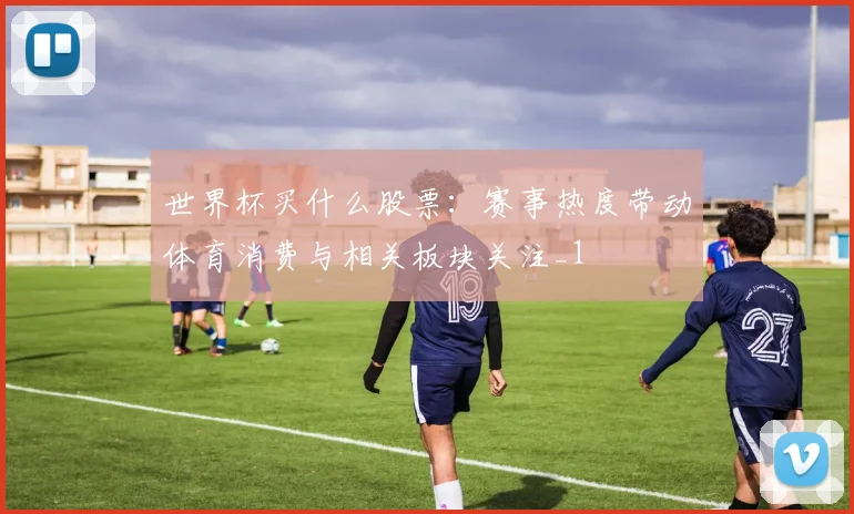 世界杯买什么股票:赛事热度带动体育消费与相关板块关注_1