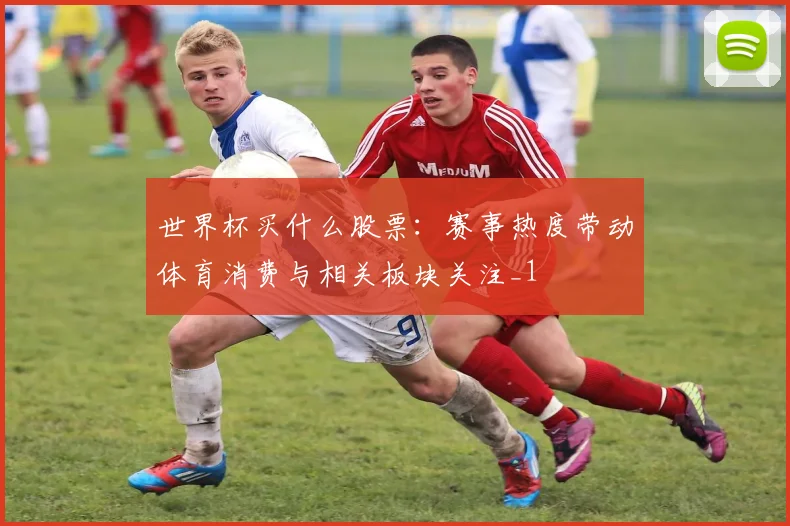 世界杯买什么股票：赛事热度带动体育消费与相关板块关注_1