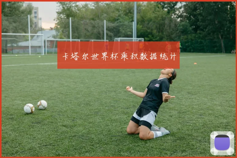 卡塔尔世界杯乘积数据统计